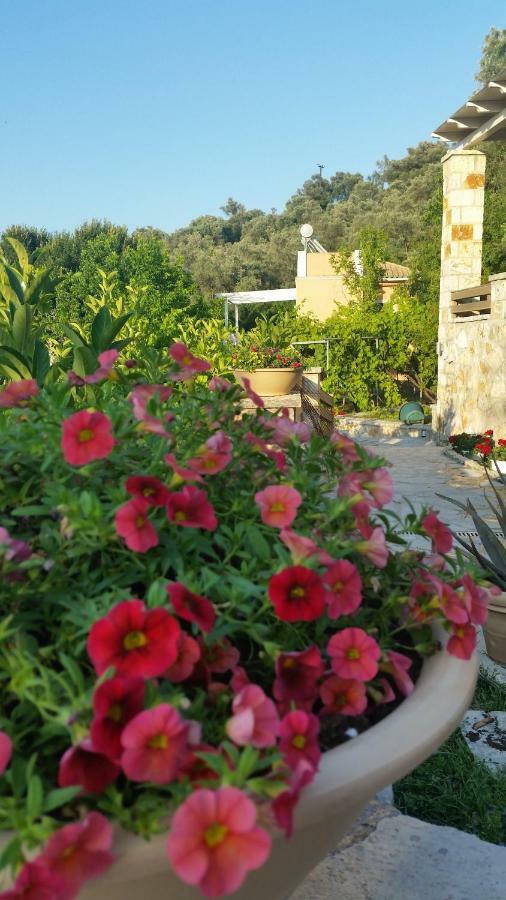 Aloe Villa Apolpaina Dış mekan fotoğraf