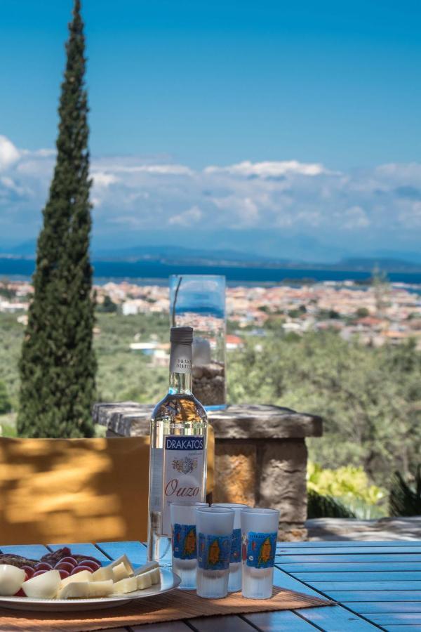 Aloe Villa Apolpaina Dış mekan fotoğraf